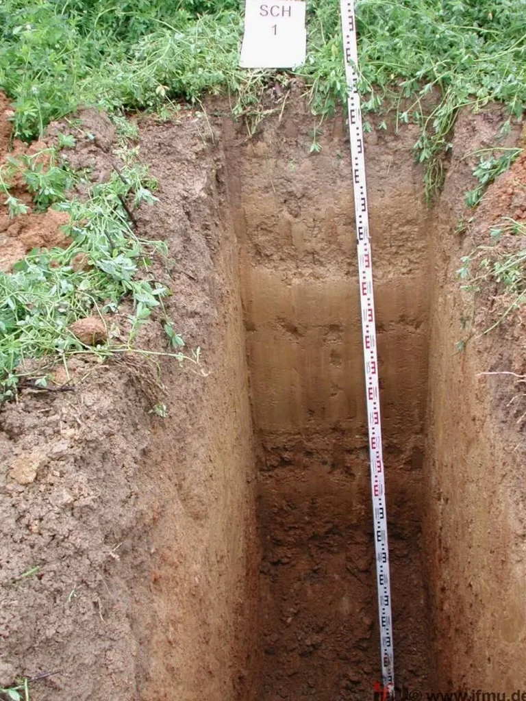 Exploratory Test Pit Services in Aurora, Illinois